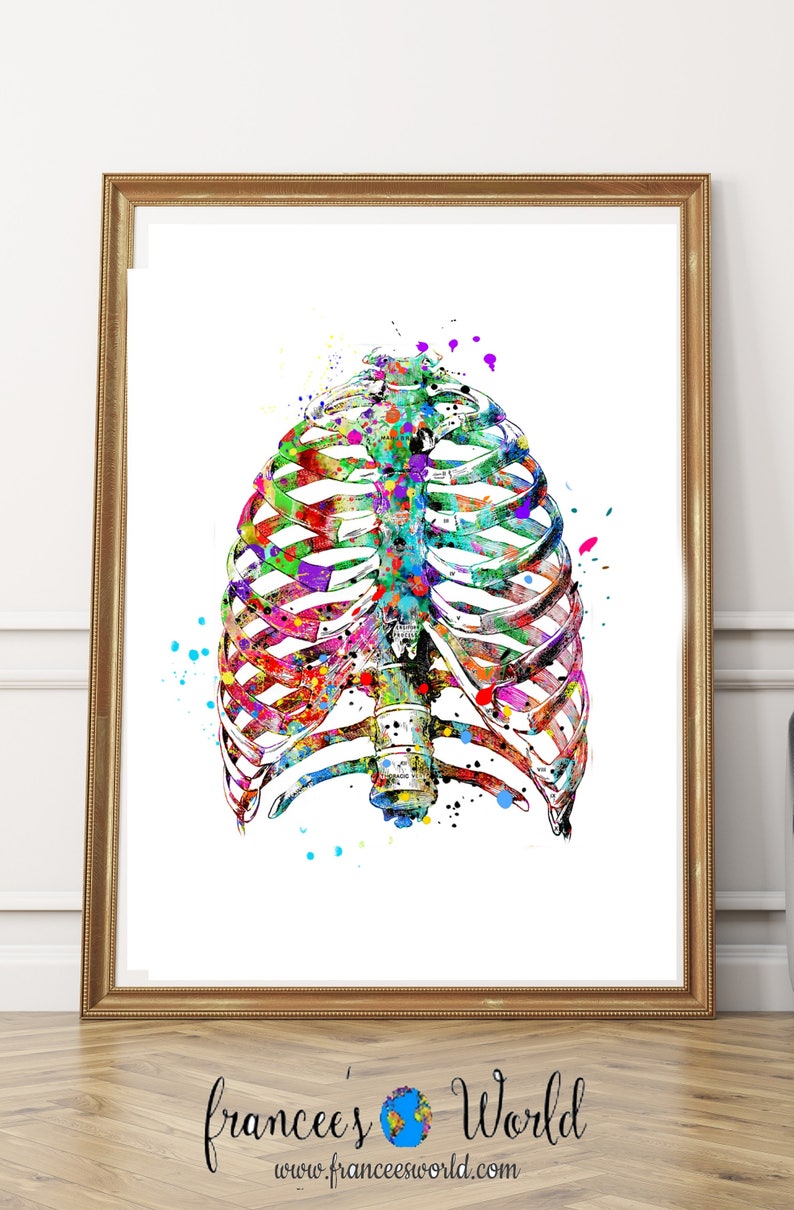 Rib Cage Watercolor PRINTABLE Medical Art Skeleton Anatomy - Etsy