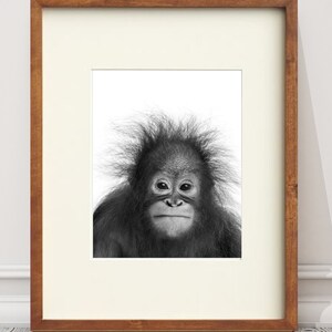 Baby Orangutan PRINT, Nursery Dorm Decor, Baby Safari Print, Nursery Dorm Art, animal print, baby monkey print, baby animal INSTANT DOWNLOAD
