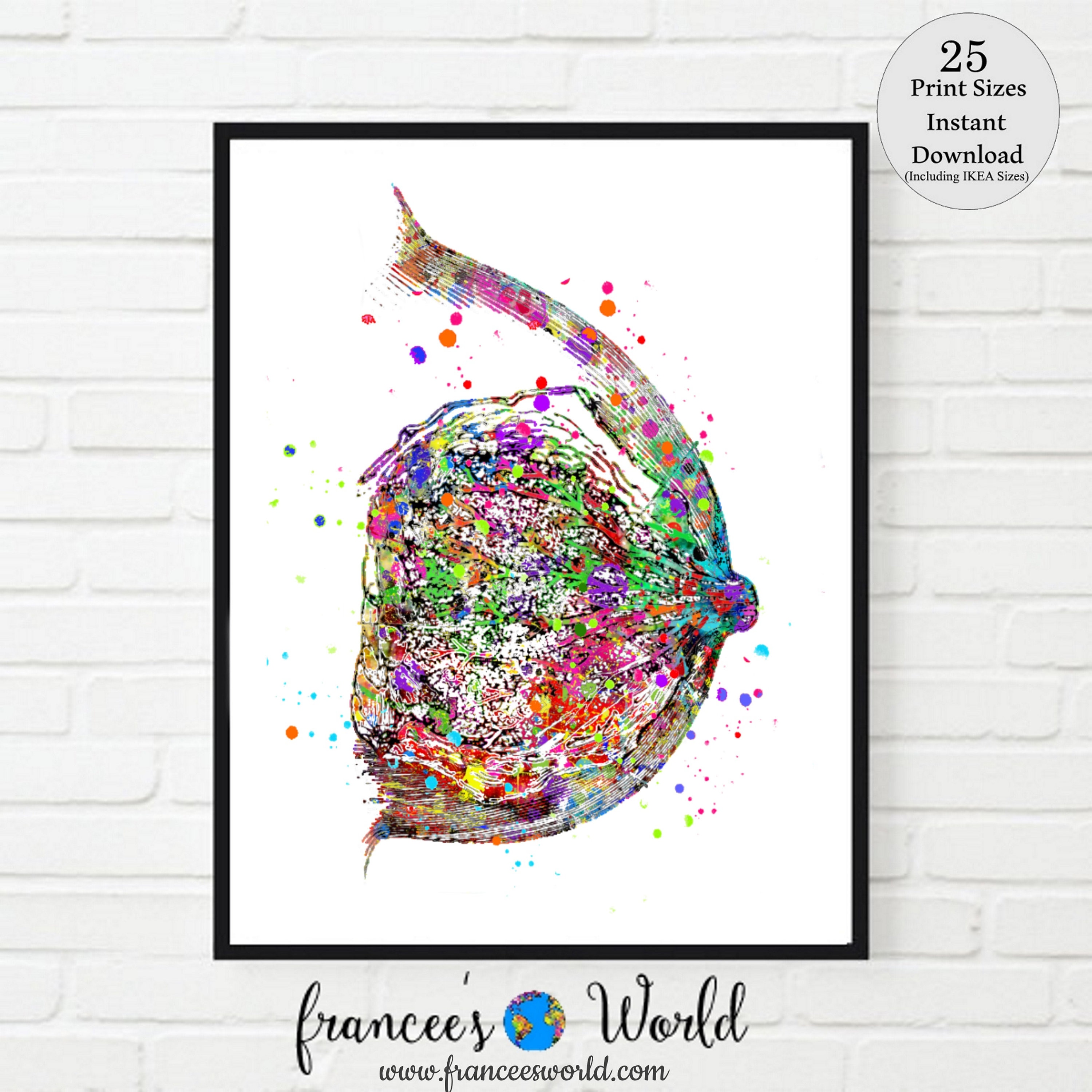 Breast Anatomy Print Watercolor Printable Mammary Gland Breast | Etsy