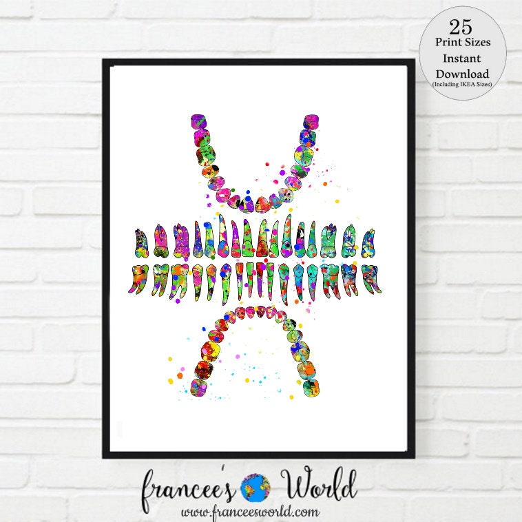 Teeth Diagram Watercolor Print ,Tooth Chart Dental Clinic Decor Dentistry Medical Art Dentist Office Doctor Art, tooth diagram, PRINTABLE