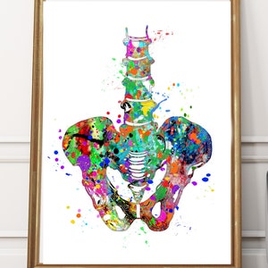 Pelvis Watercolor PRINTABLE Human Pelvis Sacrum Bone Hip spine art,Anatomy Skeletal System Home decor Graduation Medical Art Medical Science