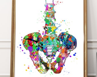 Pelvis Watercolor PRINTABLE Human Pelvis Sacrum Bone Hip spine art,Anatomy Skeletal System Home decor Graduation Medical Art Medical Science