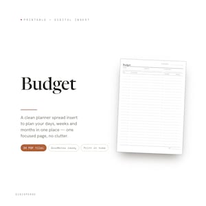 Insertion du planificateur budgétaire | Planificateur de diffusion | GoodNotes iPad PDF | Téléchargement numérique