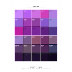 Purple Rain Color Palette | 30 Colors | Hex RGB CMYK | Color Guide | Procreate Swatches + ASE | Digital Download