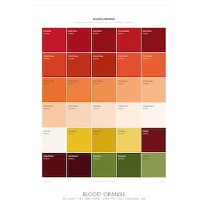 Blood Orange Color Palette | 30 Colors | HEX RGB CMYK | Procreate Swatches | Digital Download