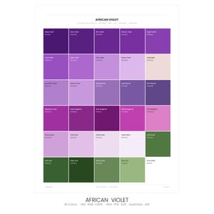 African Violet Color Palette | 30 Colors | Hex RGB CMYK | Color Guide | Procreate Swatches + ASE | Digital Download