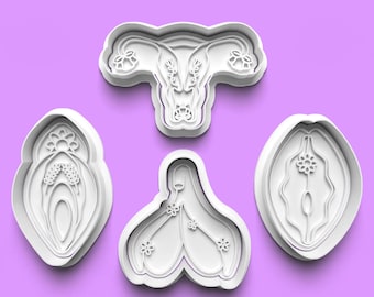Anatomical Cookie Cutter and Fondant Stamp Set, Women's Vulva