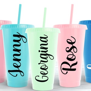 blank plain 24oz 700ml 710ml double wall plastic tumbler cup with straw