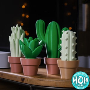 Cactus DeskTop Decor | Top Gift | Japanese Lovers Present | 3D Printed Desk Organizer | Succulent Plant Pot Present Office Gift