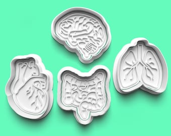 Cookie Cutter and fondant stamp, Body Organs Brain Lung Heart Science Set, Party Celebration Birthday Gift, Cake Baker Cookies Baking