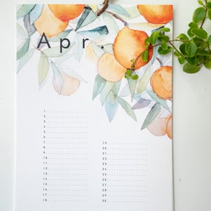 May include: A watercolour calendar featuring a branch of orange trees with leaves and fruit. The calendar is for the month of April and has a brown leather hanging loop.