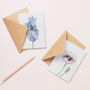 Lot de 4 cartes postales Fleurs et poulet