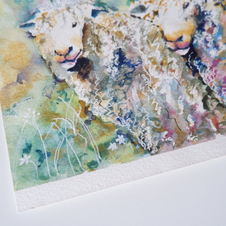 Watercolour Painting of a Pair of Sheep Unframed