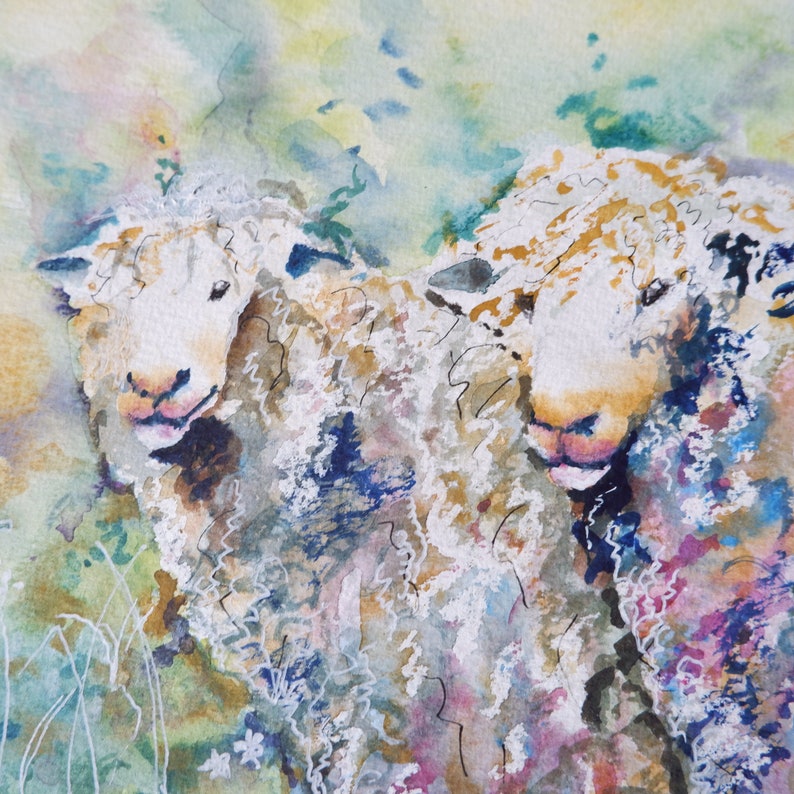 Watercolour Painting of a Pair of Sheep Unframed