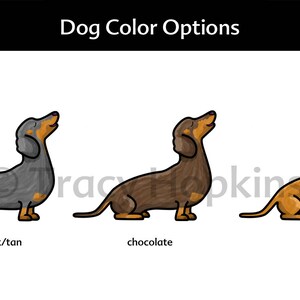 Op de afbeelding: Drie teckels in verschillende kleuren: zwart en bruin, chocolade en rood. De honden kijken allemaal omhoog en hebben hun tongen uitgestoken.