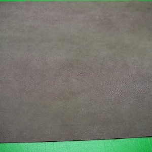 Large Stingray leather panels 18&quot; x 24&quot; first Quality ( 3 ) colors For ( 1 )  piece free shipping.