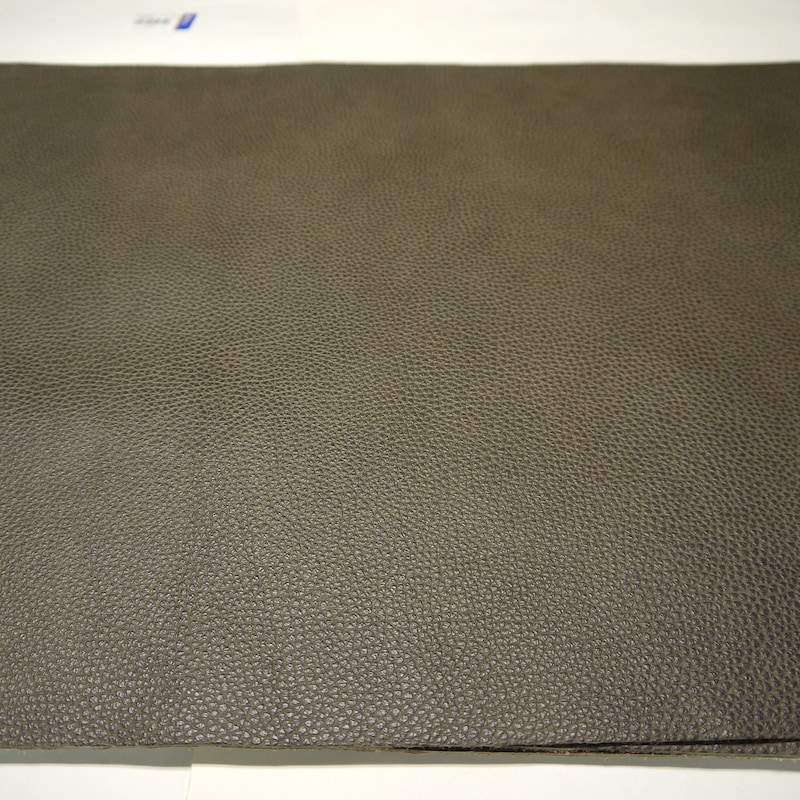 Mushroom Leather - Etsy