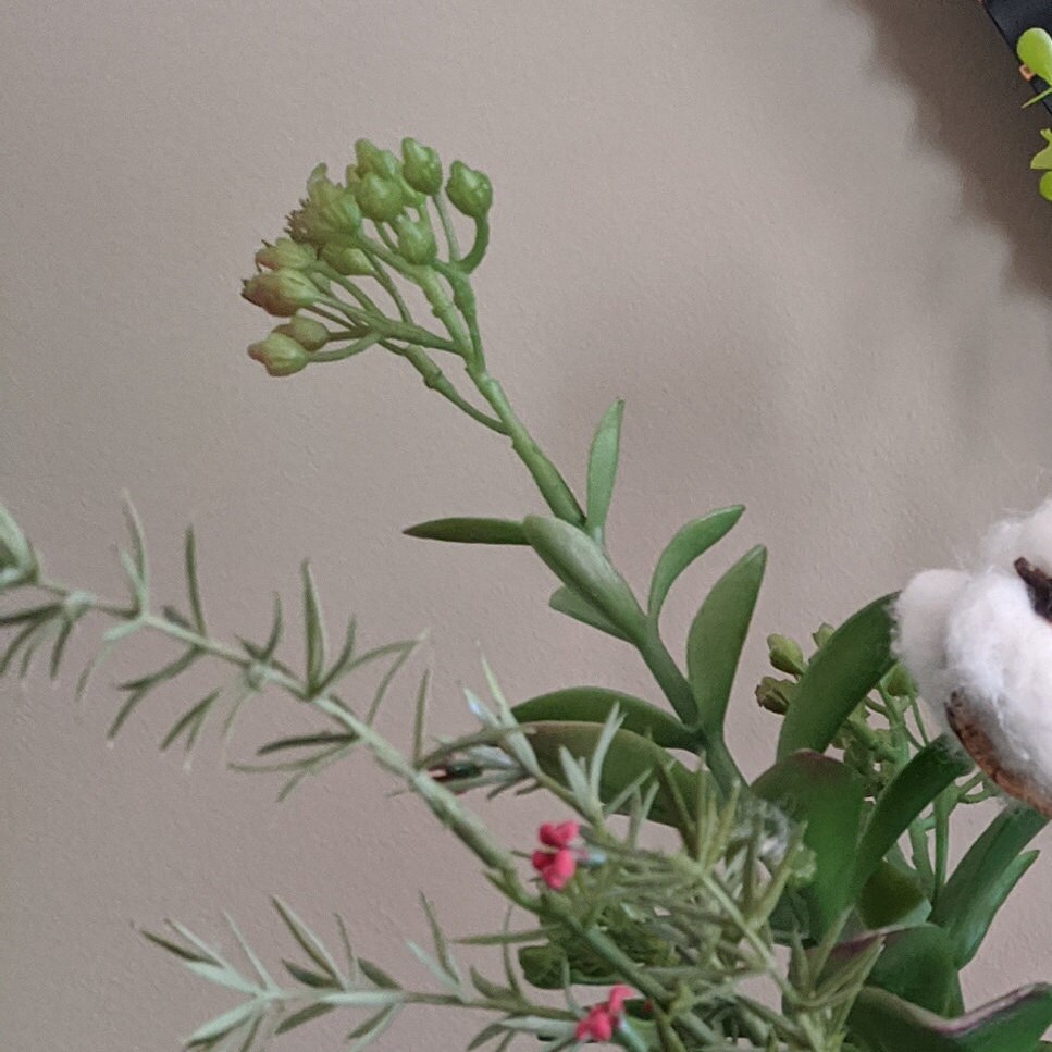 Vintage Glass Painted Vase Cotton Stemsdistressed Vase Succulent Fern