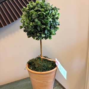 May include: A small, artificial topiary tree in a terracotta pot. The tree has a round, green leafy top and a thin, brown stem. The pot is filled with green moss. A small tag is attached to the tree.