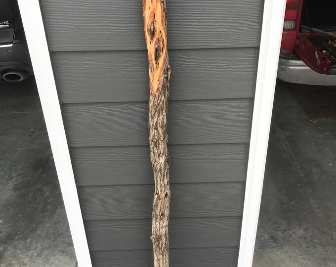 Diamond Willow Walking Stick AMAZING CARVING BLANK Etsy