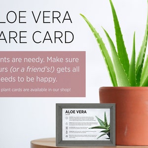 Aloë vera plantenverzorgingskaart