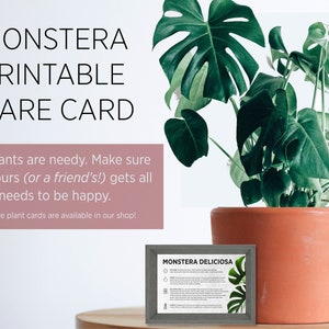 Kaartsjabloon Monstera-plantenverzorging | DOWNLOAD, BEWERK EN AFDRUK