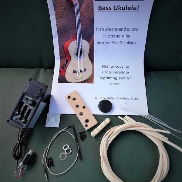 Diy Bass Guitar Kit Etsy