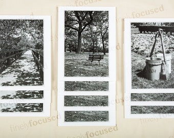 NOTA EN BLANCO/Tarjetas de felicitación Mix&Match (10) / Su elección de cualquier combinación / fotos b/n / Boardwalk-Garden-Bench / Stock de ropa de cama-With Envelopes