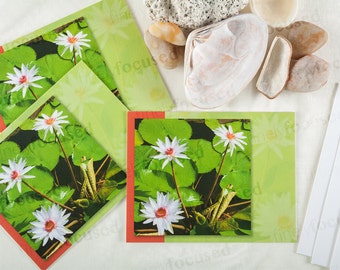 Siente el sol tropical con estas cálidas TARJETAS DE NOTAS Pack de 3 -Color Foto -Gran Caimán-LILIES-Caribe -Stock de lino en blanco-con sobres