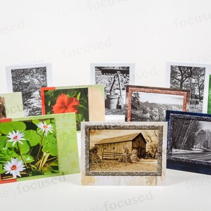 10 NOTE CARD SAMPLER b/w-color Boardwalk-Garden-Bench-Forest Road-Pines-Barn-Canyon-Lilies-Hibiscus-Grapes Blank-Linen Stock-With Envelopes