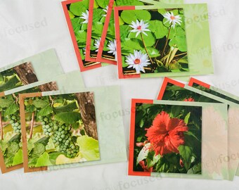 Mix&Match NOTE CARDS -10 Pack- Tú eliges cualquier combinación -COLOR FOTOS Nenúfares-Rojo Hibisco-Uvas Verdes -Caldo de lino en blanco- Sobres