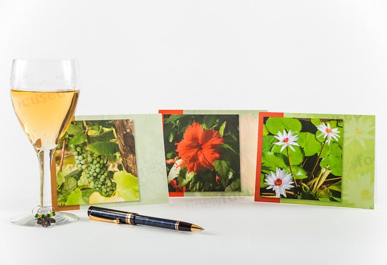 Boardwalk-Garden-Bench-Road-Pines-Barn-Canyon-Lilies-Hibiscus-Grapes-Vineyard-Thank You- Blank-Linen Stock-Envelopes 12 NOTE CARD SAMPLER-