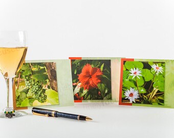 Comuníquese con alguien con una tarjeta de notas escrita a mano Surtido de FOTOS de 3 colores Lirios-Hibisco-Uvas-caldo de lino en blanco-con sobres