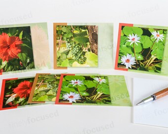 Comuníquese con alguien con una tarjeta de notas escrita a mano Surtido de tarjetas 6 tarjetas Foto de color Lirios-Hibisco-Uvas-en blanco-caldo de lino-con sobres