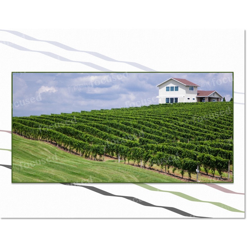 Boardwalk-Garden-Bench-Road-Pines-Barn-Canyon-Lilies-Hibiscus-Grapes-Vineyard-Thank You- Blank-Linen Stock-Envelopes 12 NOTE CARD SAMPLER-
