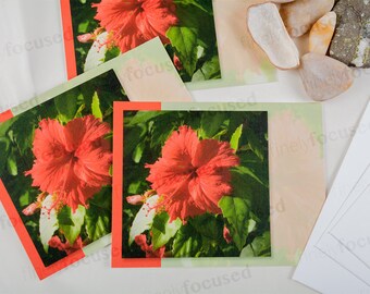 TARJETAS DE NOTAS Color Photo 3 Pack -Una delicia iluminada por el sol para el alma de los trópicos -Caimán-Rojo HIBISCUS-Caribe- Stock de lino en blanco-con sobres
