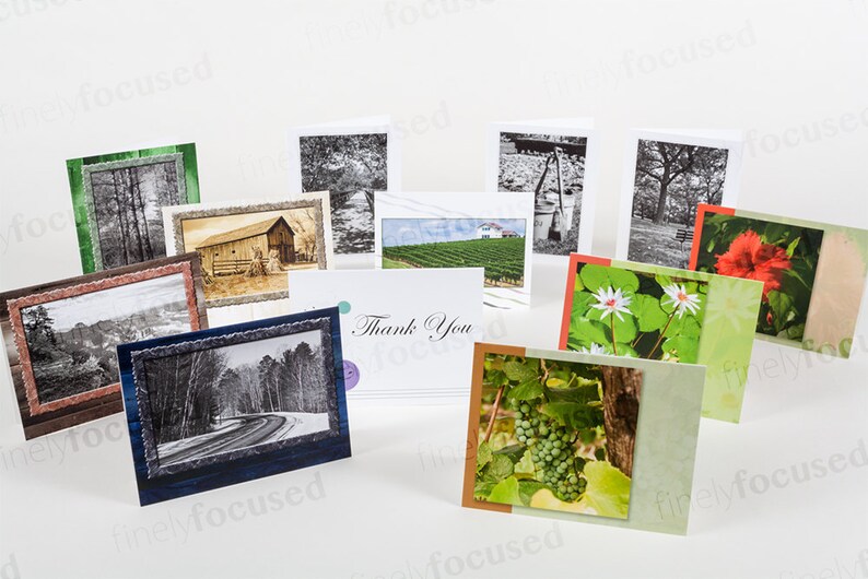 Boardwalk-Garden-Bench-Road-Pines-Barn-Canyon-Lilies-Hibiscus-Grapes-Vineyard-Thank You- Blank-Linen Stock-Envelopes 12 NOTE CARD SAMPLER-