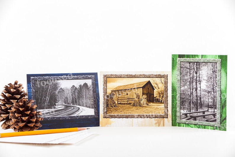 Boardwalk-Garden-Bench-Road-Pines-Barn-Canyon-Lilies-Hibiscus-Grapes-Vineyard-Thank You- Blank-Linen Stock-Envelopes 12 NOTE CARD SAMPLER-
