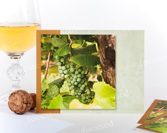 NOTA TARJETAS Color Photo Package of 3 -Give someone close a taste of the vineyards- -Michigan-GRAPES-Summer- -blank-linen stock-with envelopes