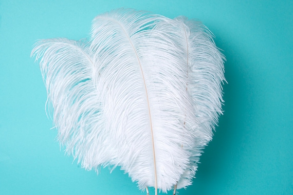 10 Turquoise Ostrich Tail Large Feathers Centerpiece Halloween Costume 12-16/"