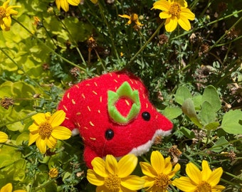 Strawberry Frog