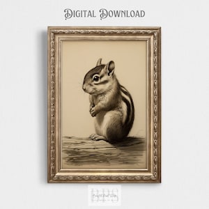 Ardilla del bosque bebé / Ardilla del bosque / Estampado animal de estilo vintage / Decoración de niños del vivero del bosque / Arte de la pared de las niñas de la guardería / Animal del bosque