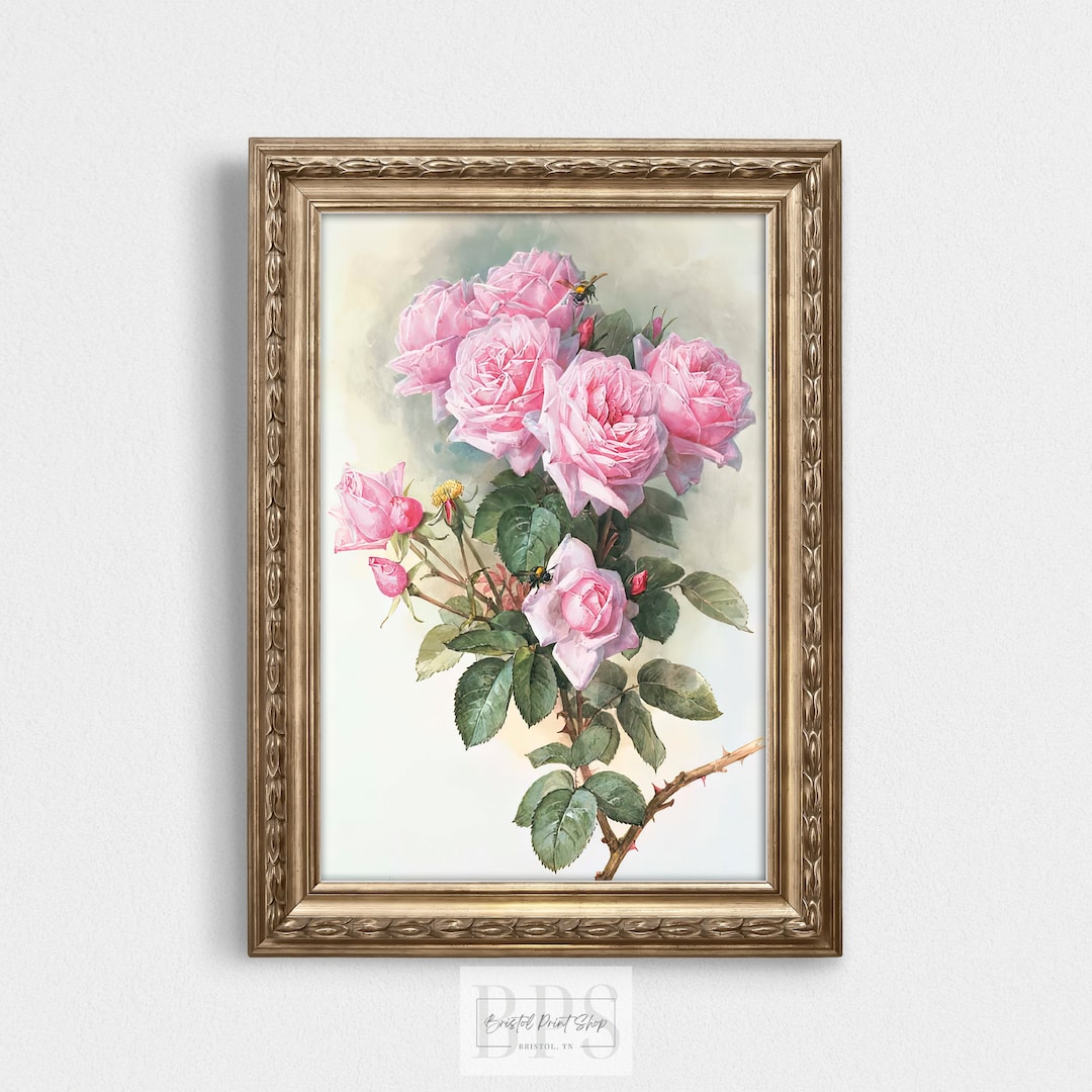 Vintage Roses & Bumblebees Print | Antique Wall Art | 19th Century Pink ...