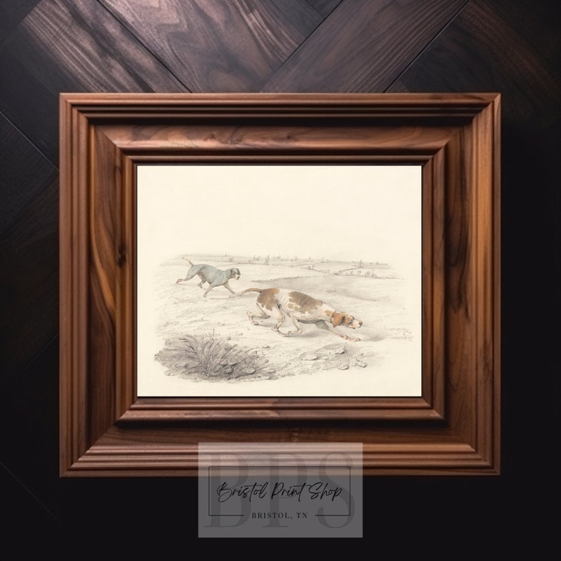 Puede incluir: Una ilustraci&oacute;n vintage de dos perros de caza corriendo por un campo. Los perros son marrones y blancos con narices negras. La ilustraci&oacute;n est&aacute; impresa sobre un fondo blanco y enmarcada en un marco de madera oscura.