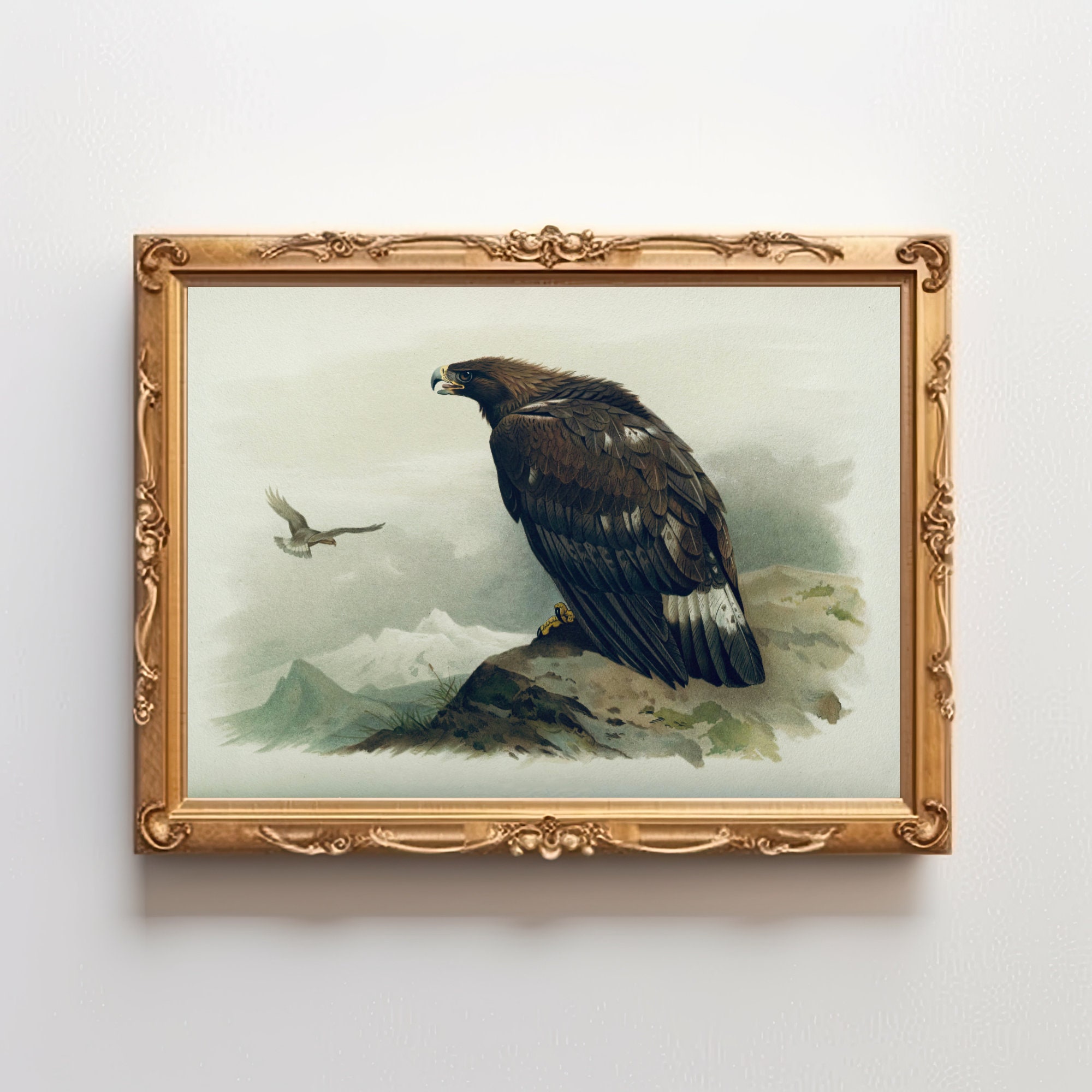 Vintage Golden Eagle Print | Woodland Animal | Antique Bird Wall Art ...