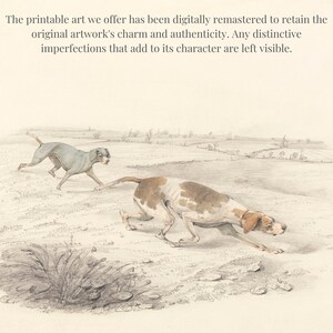 Puede incluir: Una ilustraci&oacute;n en blanco y negro de dos perros corriendo por un campo. El perro en primer plano es un pointer, y el perro en el fondo es un galgo.
