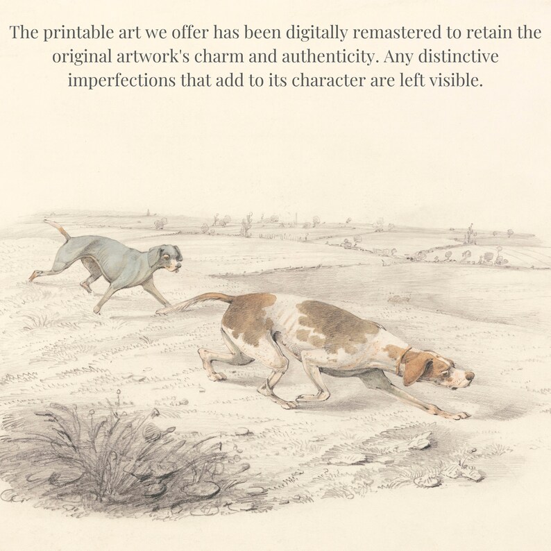 Puede incluir: Una ilustraci&oacute;n en blanco y negro de dos perros corriendo por un campo. El perro en primer plano es un pointer, y el perro en el fondo es un galgo.