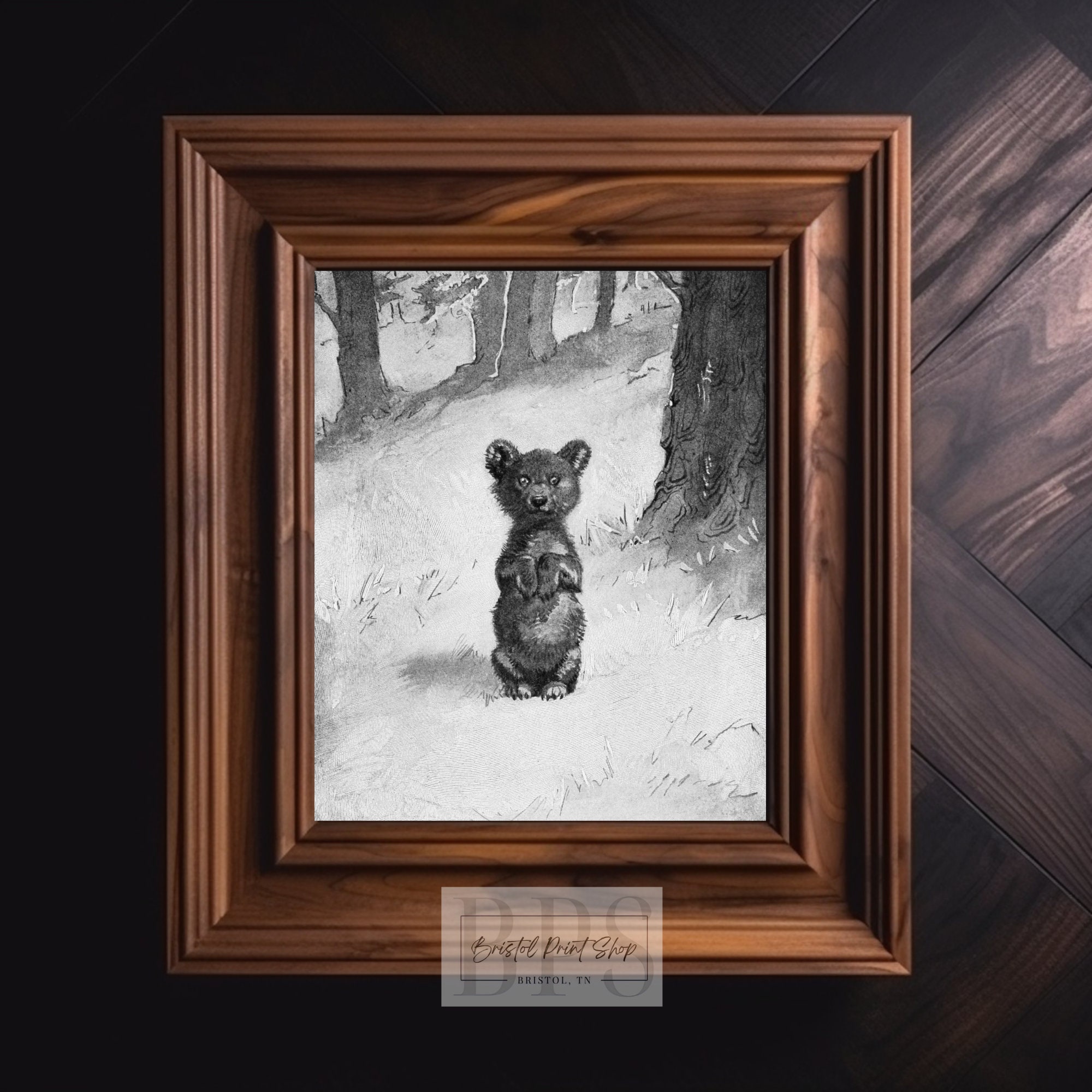 Vintage 1891 Bear Cub Illustration | Black & White Print | Antique