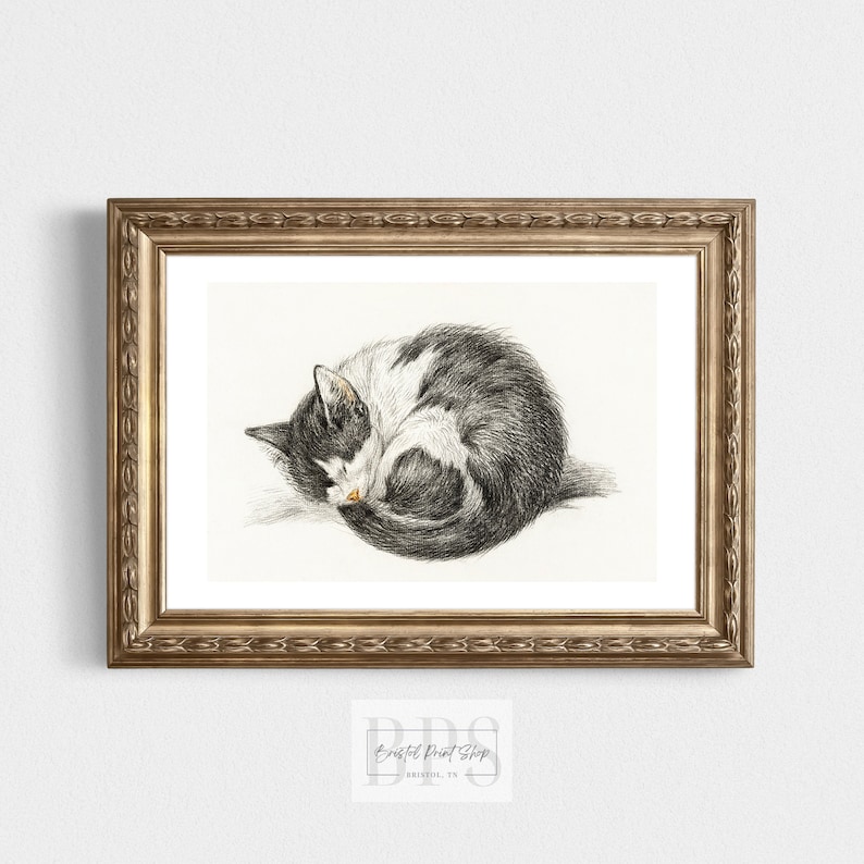 Vintage Cat Art | Black and White Cat Sleeping Drawing | Home Interior ...