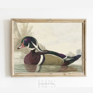 Puede incluir: Una ilustraci&oacute;n vintage de un pato de madera nadando en un estanque. El pato tiene un plumaje colorido con tonos de verde, azul, rojo y blanco. El fondo es una suave acuarela de azul y verde.